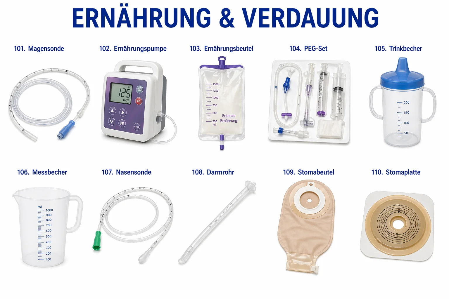 Ernährung & Verdauung